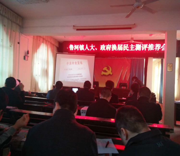 鲁河镇人口_人口普查(2)